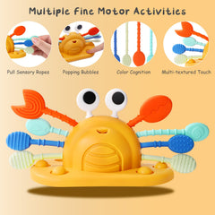 Socub four textured strings toy enhances tactile exploration