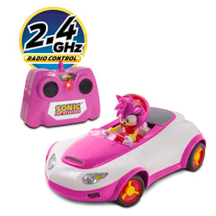 Sonic The Hedgehog Amy Rose TSR RC car detail close-up showing sculpted features.