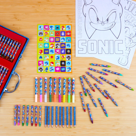 Sonic The Hedgehog art case closed with sturdy handle for storage and transport