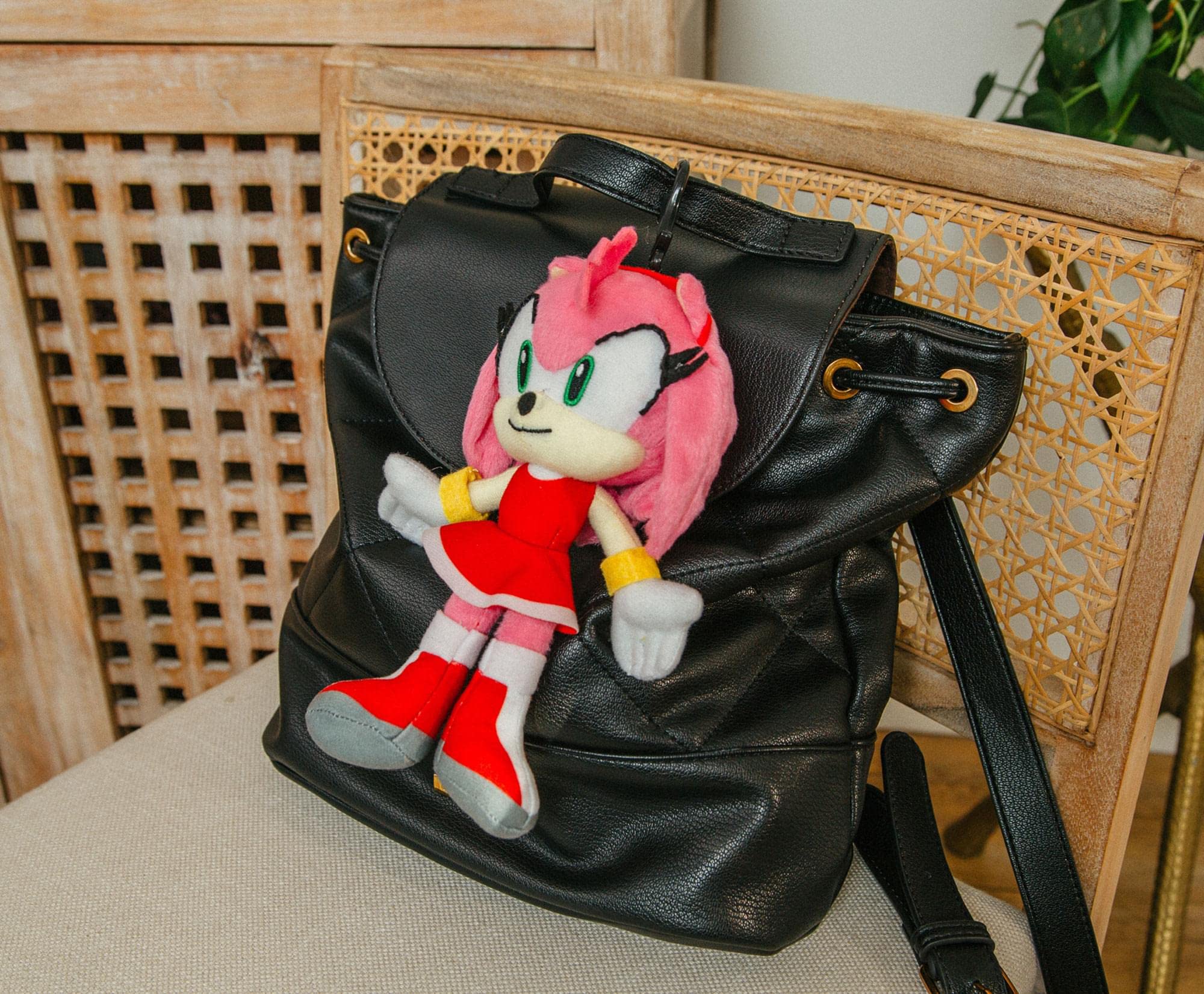 Sonic the Hedgehog Amy Rose plush packaging image shows premium presentation.