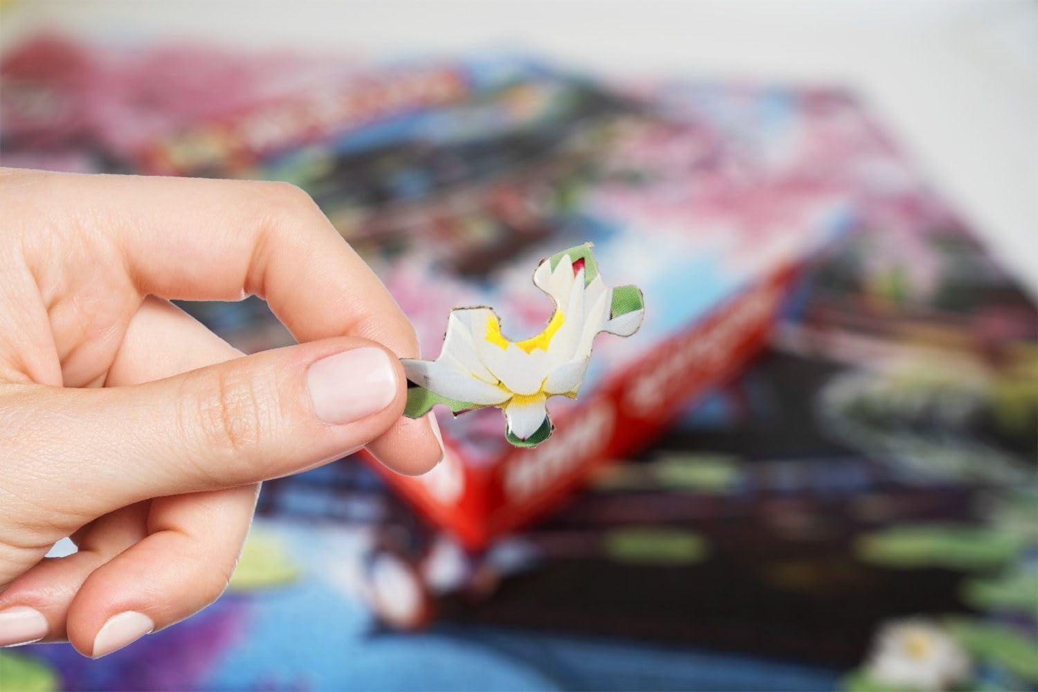 Springbok Haru in Japan: eco-friendly materials, safe for families to enjoy.
