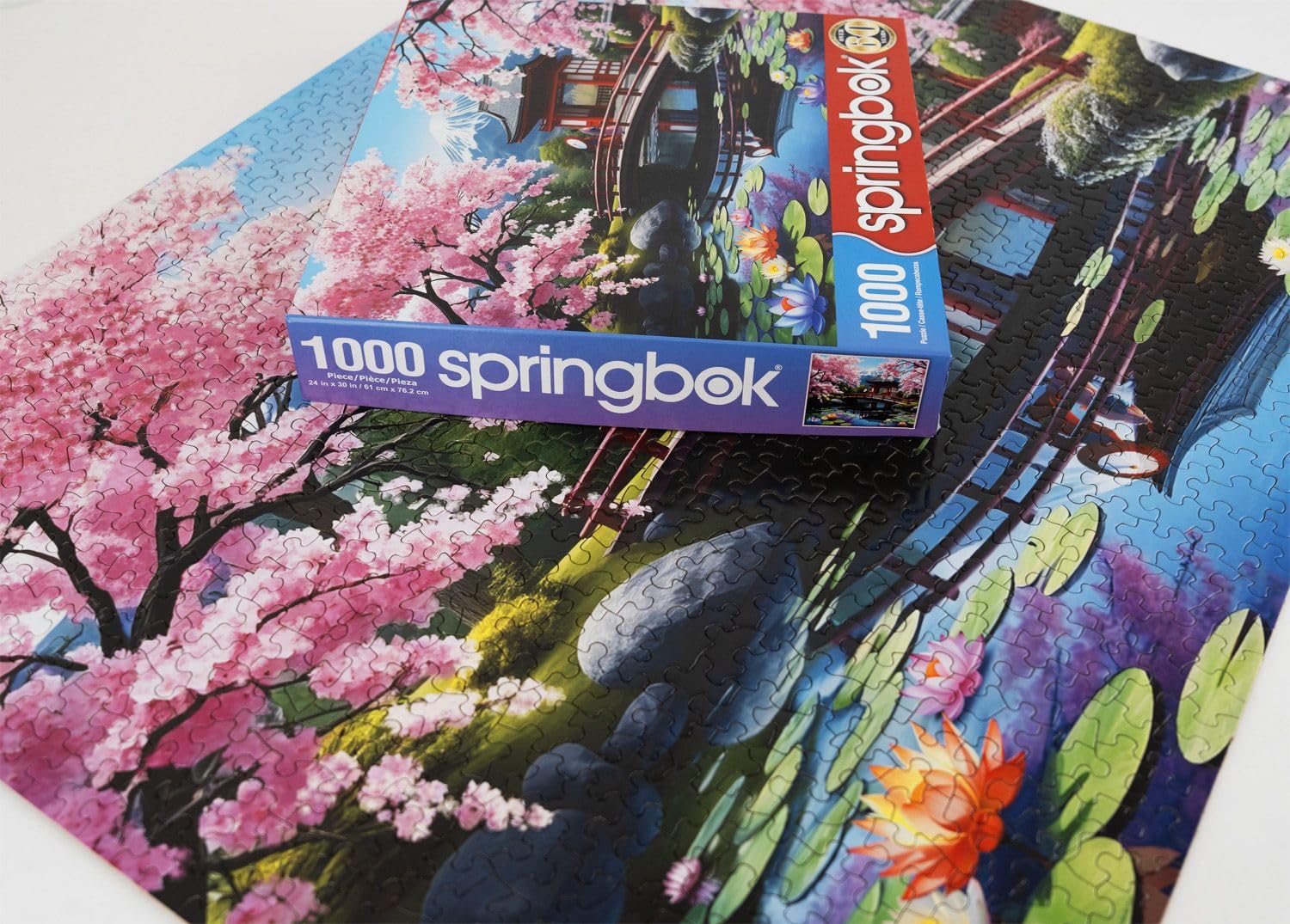Springbok Haru in Japan: Mount Fuji backdrop adds a serene travel-inspired vibe.