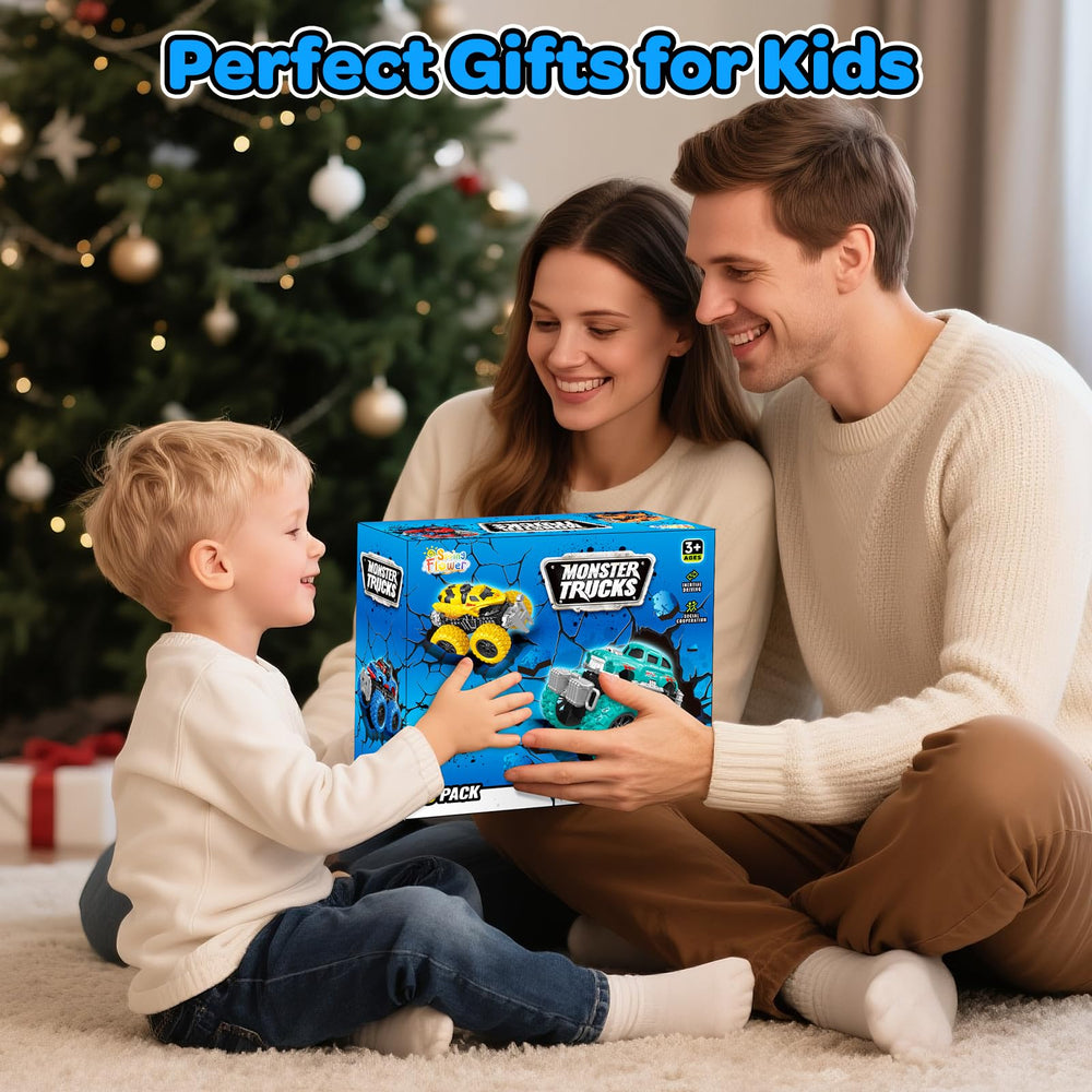 SpringFlower six-pack gift-box image highlights a ready-to-gift holiday option