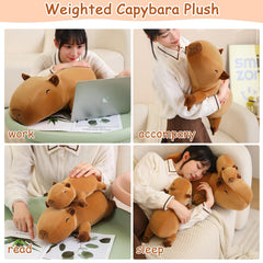 SQEQE weighted capybara plush 25 cm size for versatile use