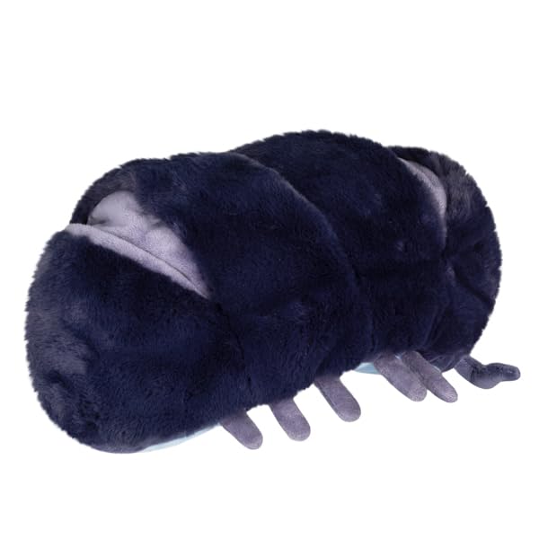 The 11.5-inch Pillbug Rollie Pollie ready for desk or shelf.