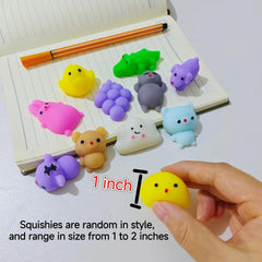 Squishiq party favors for classroom rewards and celebrations