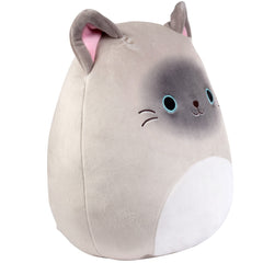 Close up of Felton's friendly eyes and soft plush fur for imaginative play