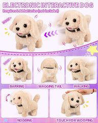 STACTCUTE grooming and care accessories visual: grooming tools for pretend pet care