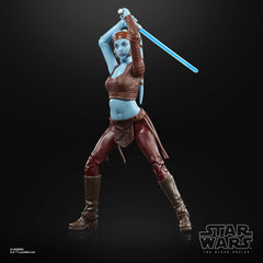 STAR WARS The Black Series figure for display-ready collectibility.