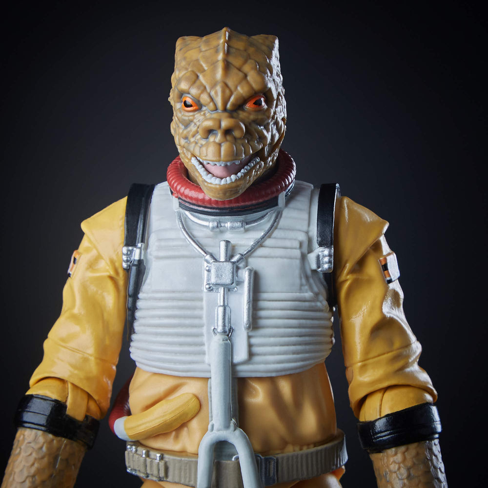 STAR WARS Bossk packaging shows premium presentation and protection.