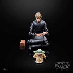 STAR WARS Premium deco on 6-inch figures enhances display appeal.