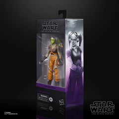 STAR WARS The Black Series Hera Syndulla detailing highlights animation-style deco for collectors.