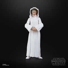 STAR WARS Princess Leia Organa 6-inch figure with removable hood accessory for scenes