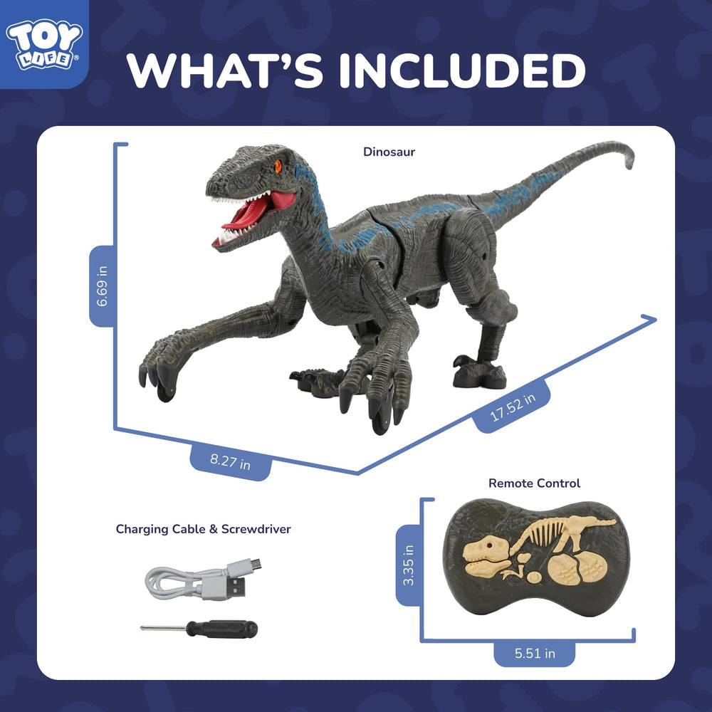 STEAM Life Velociraptor remote control design is kid friendly.