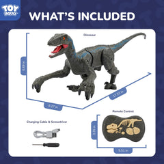STEAM Life Velociraptor remote control design is kid friendly.