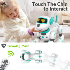 STEMTRON dancing and singing mode dog performing routines