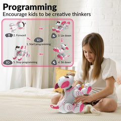 STEMTRON programmable actions demonstrate moving in multiple directions.