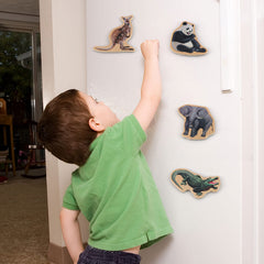 Steventoys refrigerator magnet activity kit for magnetic play on metal surfaces