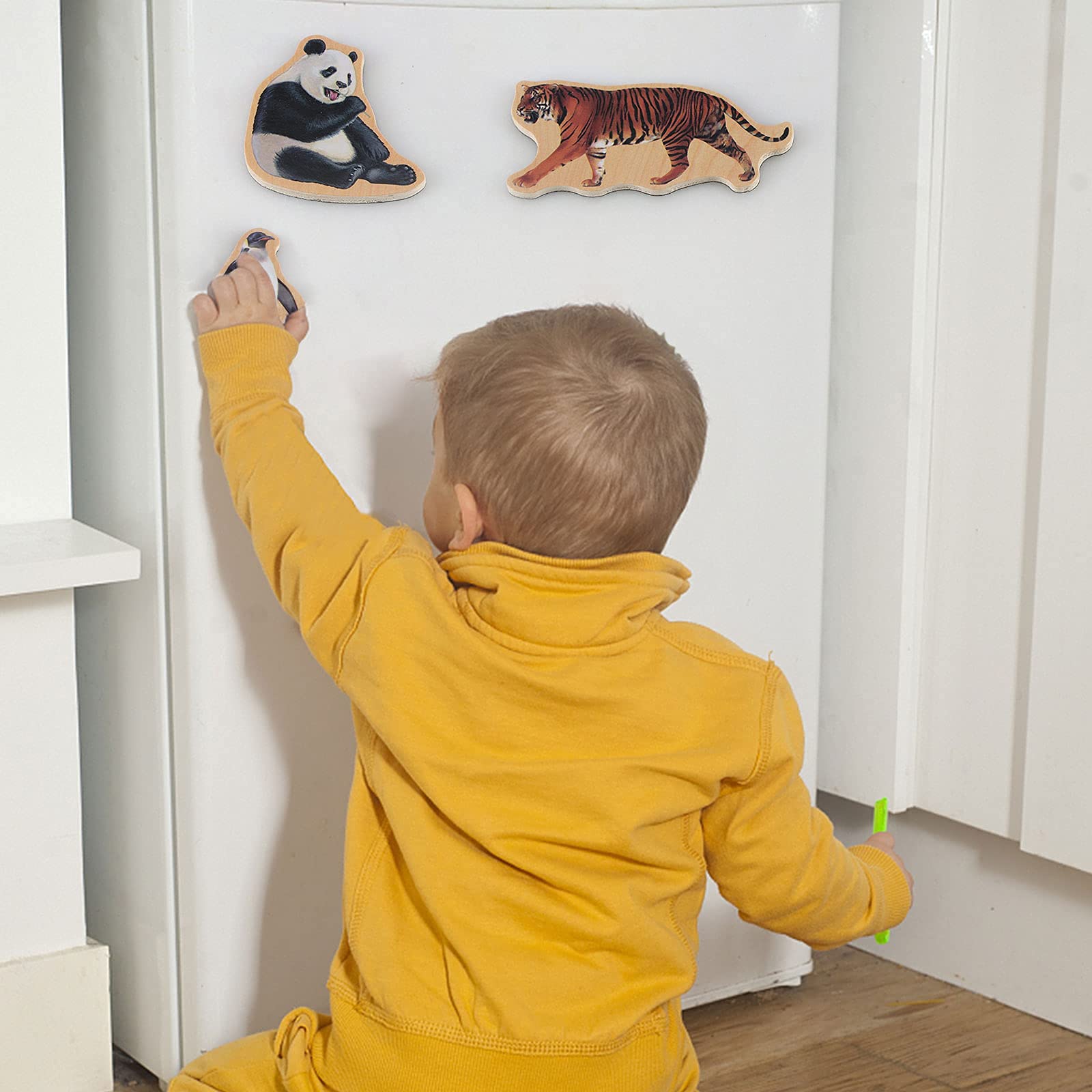 Steventoys magnets made with safe materials and water-based paints for non-toxic design