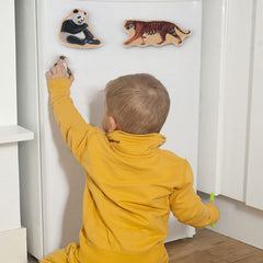 Steventoys magnets made with safe materials and water-based paints for non-toxic design