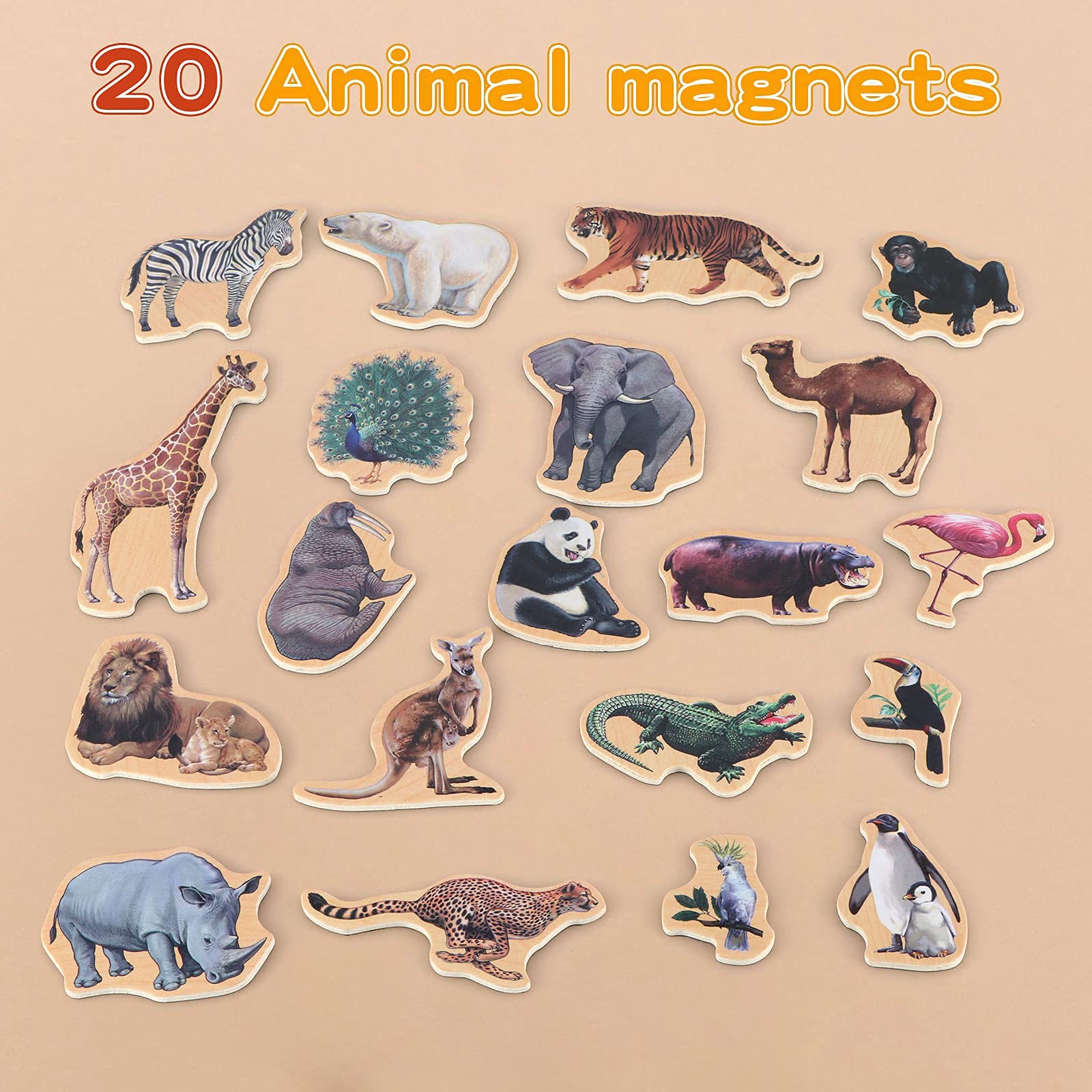 Steventoys wooden toddler magnets offering durable, safe play for early animal recognition