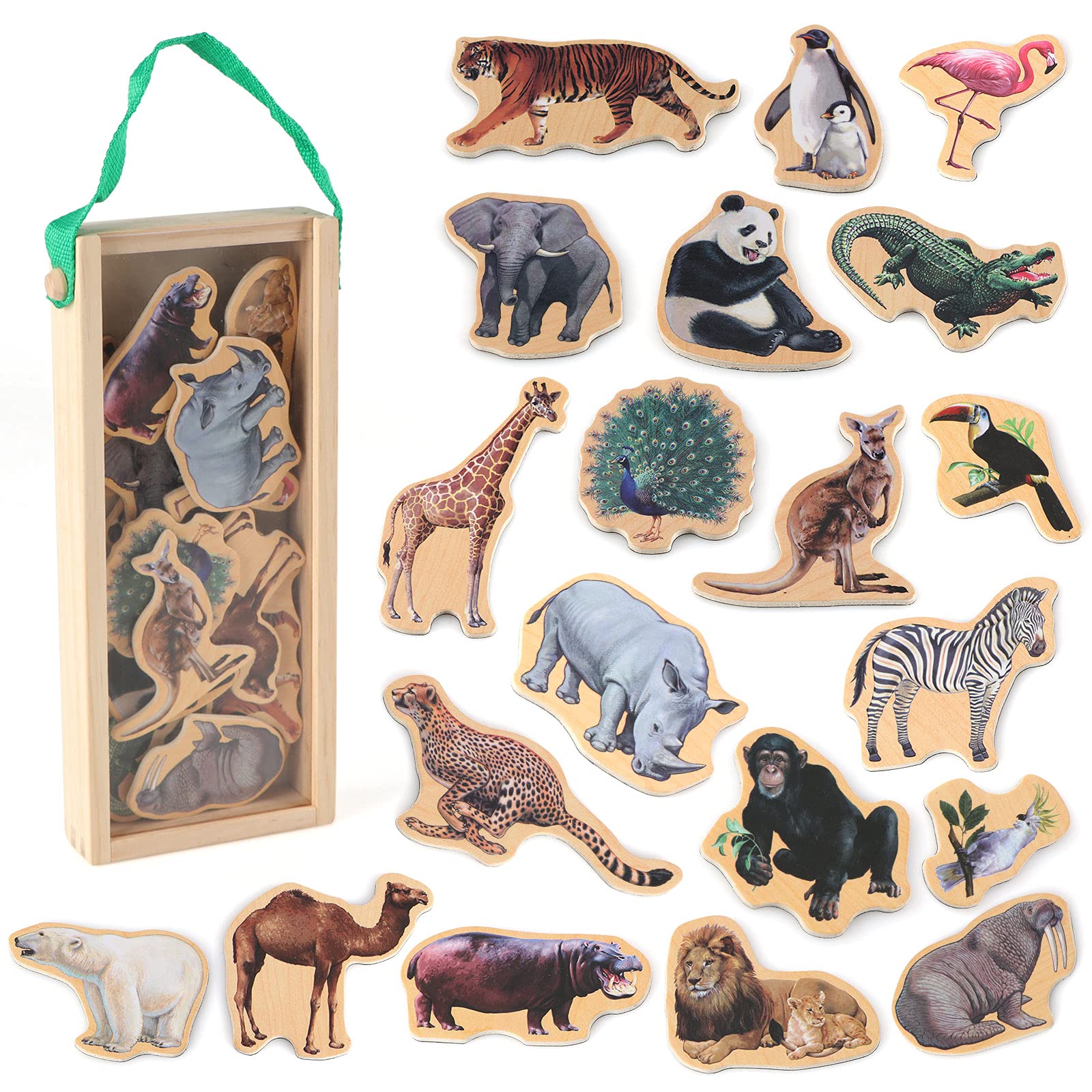 Steventoys zoo animal fridge magnets showcasing bright wildlife for preschool fridge play