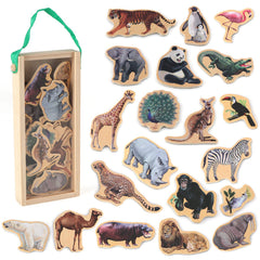 Steventoys zoo animal fridge magnets showcasing bright wildlife for preschool fridge play