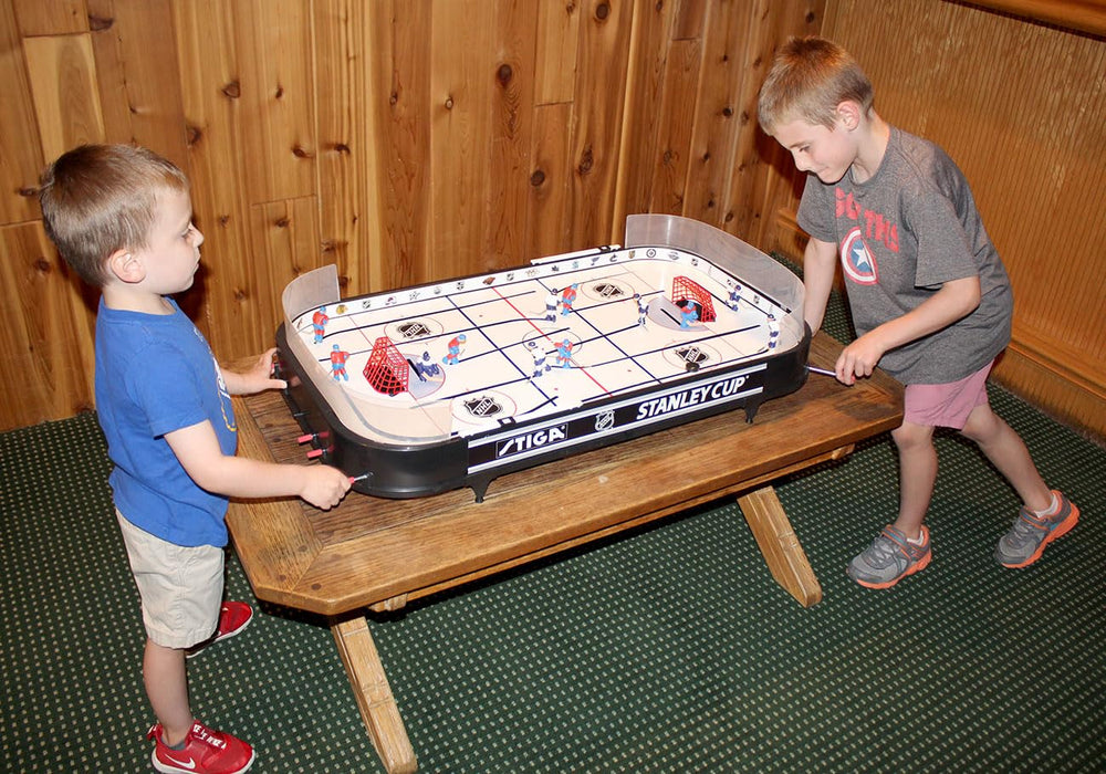 Stiga Stanley Cup 3T 3D players behind nets during play