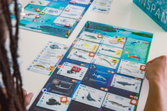 Stonemaier Finspan box-art cover displaying packaging appeal