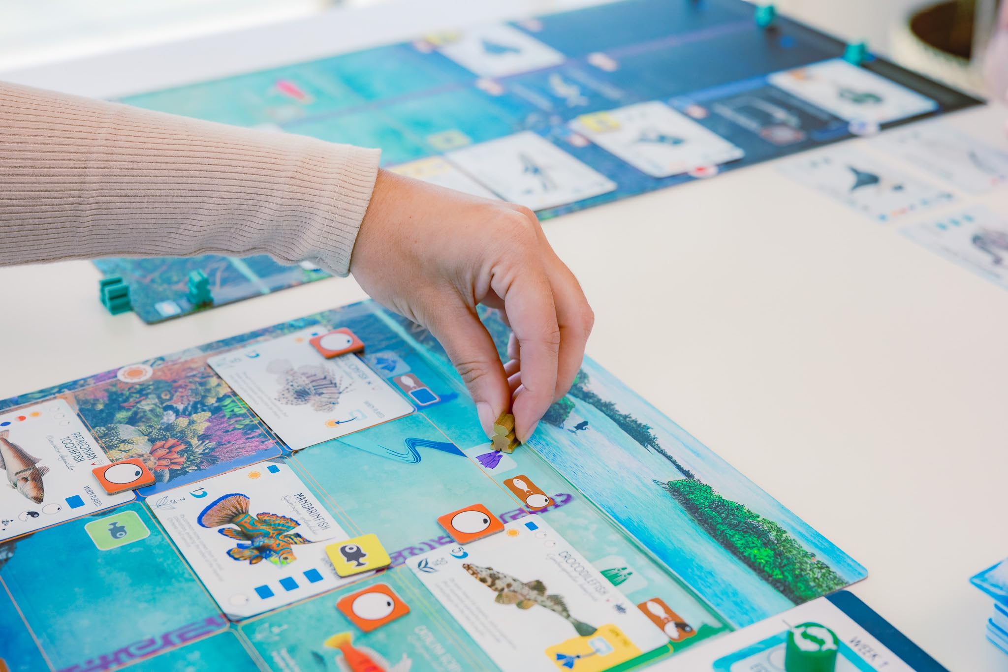 Stonemaier Finspan illustrated cards emphasizing natural seascape art