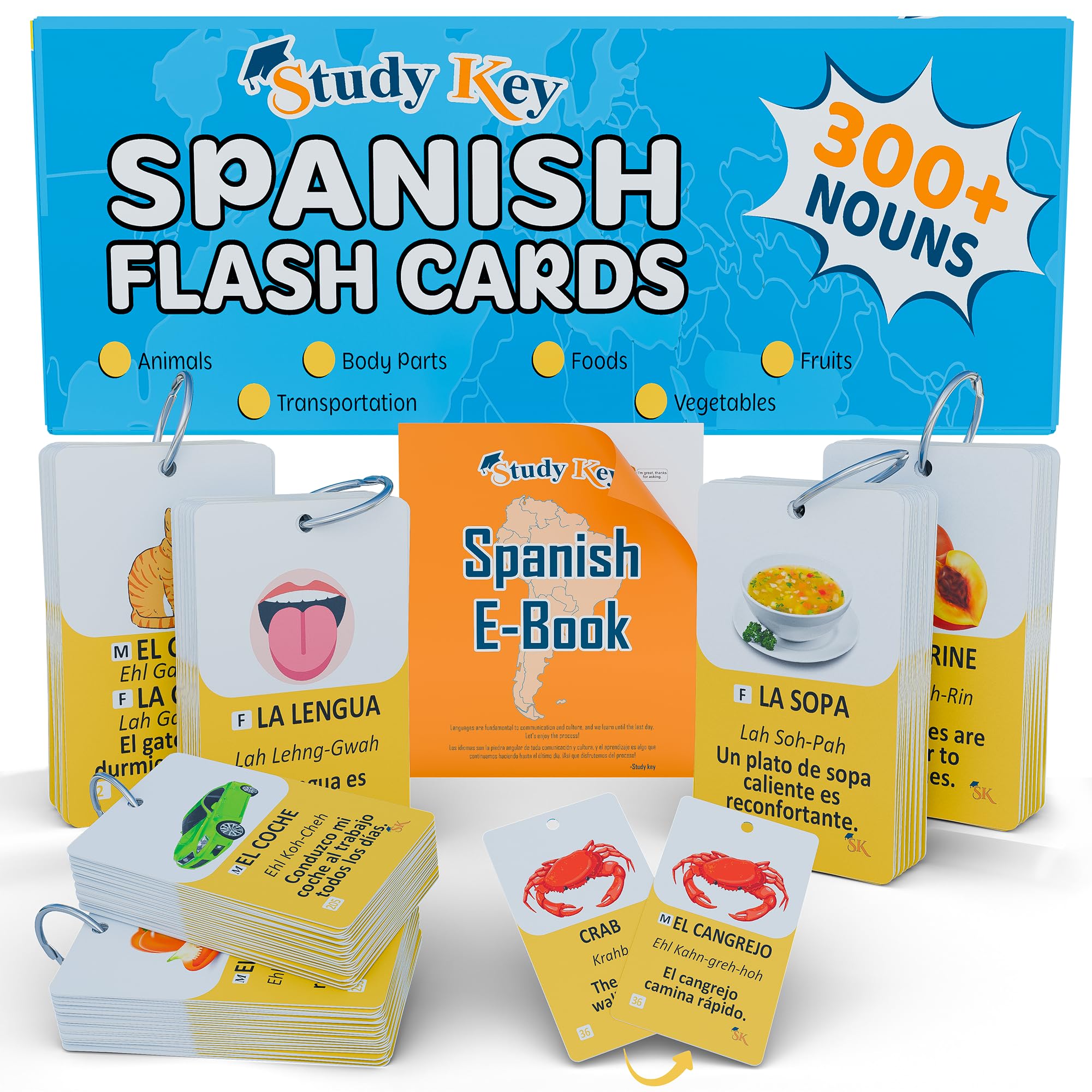 Study Key 300 Spanish flashcards front view with beginner-friendly nouns.