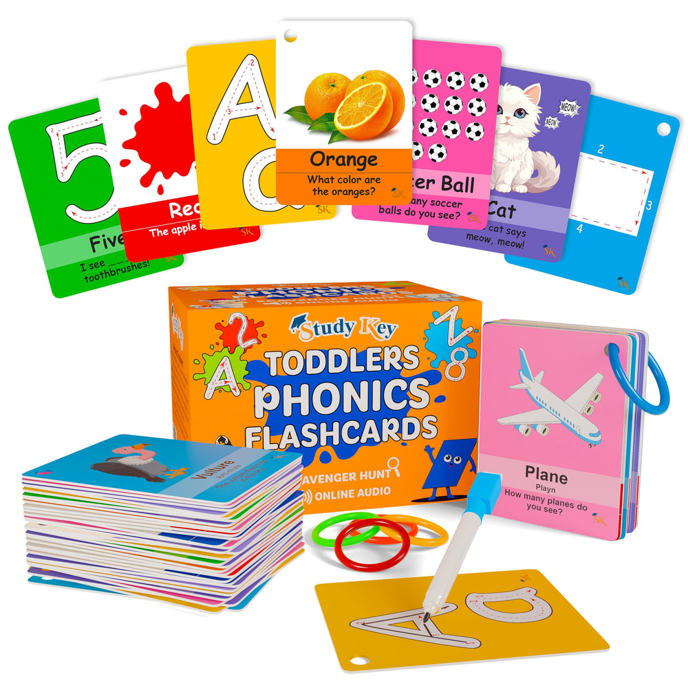 Study Key ABC flash cards cover supports early literacy with visual appeal.