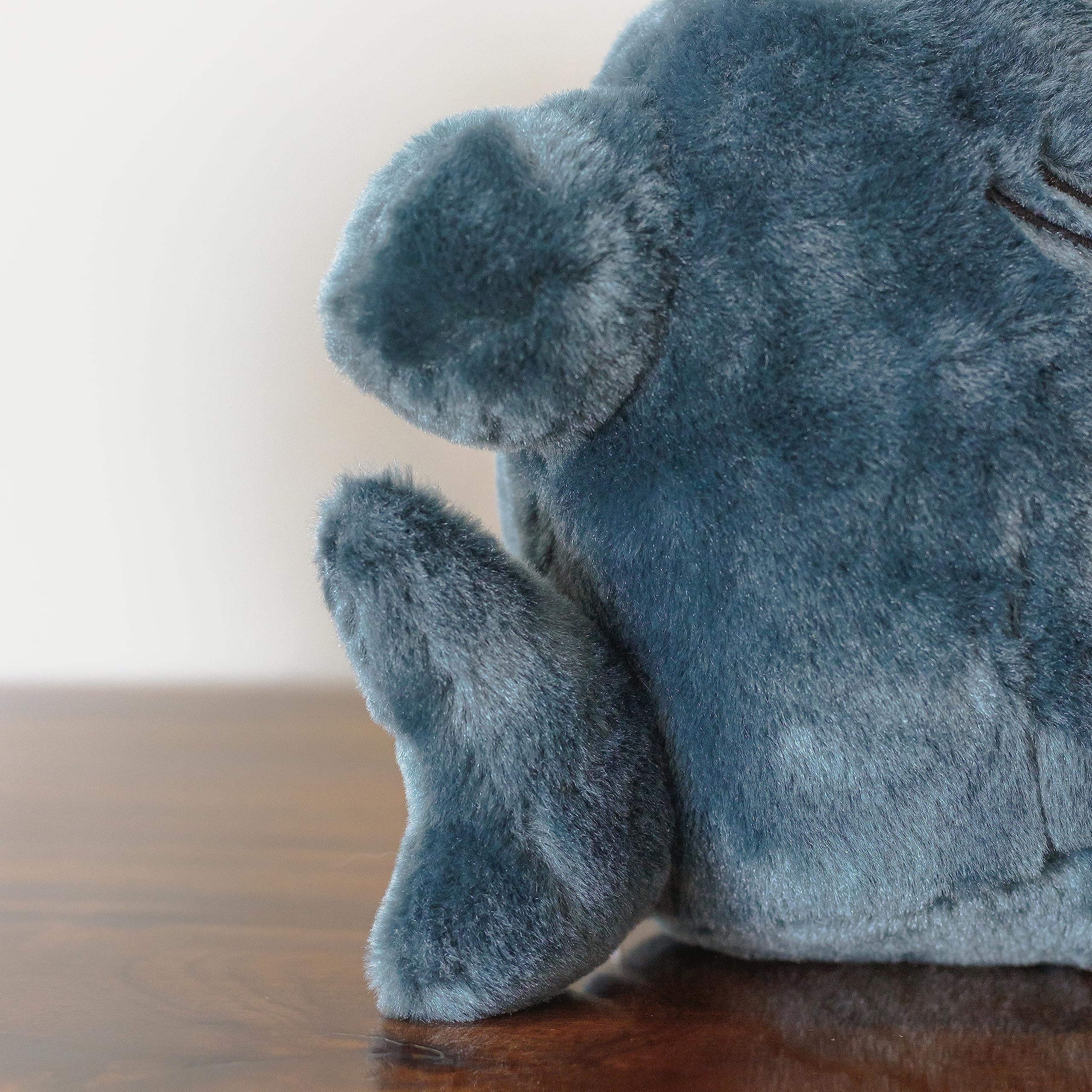 Sunfedmiss Shark Cat plush for playtime and cuddles with kids.
