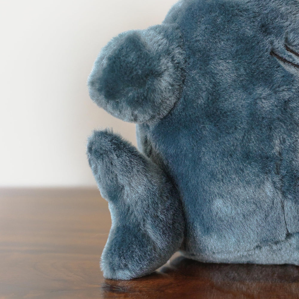 Sunfedmiss Shark Cat plush for playtime and cuddles with kids.