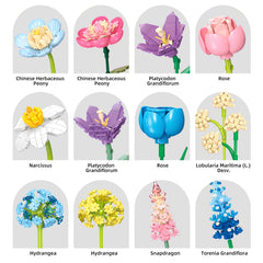 SUNHABI Flower Building Set Torenia grandiflora delivers a charming, compact shelf accent.