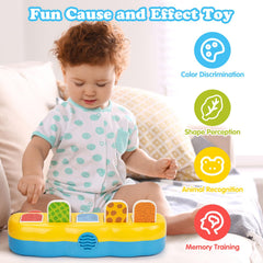 SUPERHIGH Pop Up Toy packaging shows gift-ready design for easy gifting.