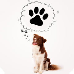Supervitae 12mm paw stamp shows precise tiny footprint.