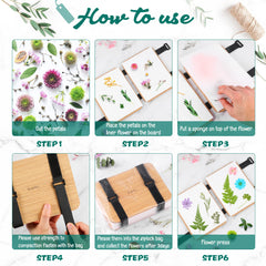 Suziko beginner-friendly guide with step-by-step instructions