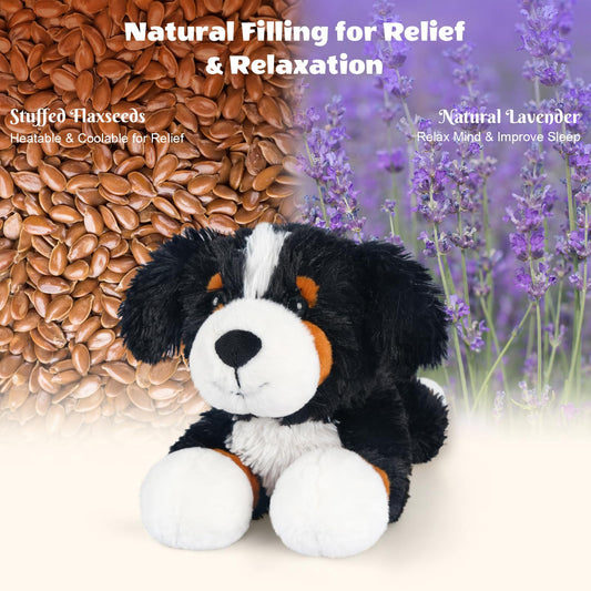 SuzziPals coolable Bernese Mountain Dog plush demonstrating cooling option for hot days