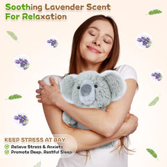 SuzziPals koala cold therapy plush ready for refreshing cooling sessions.