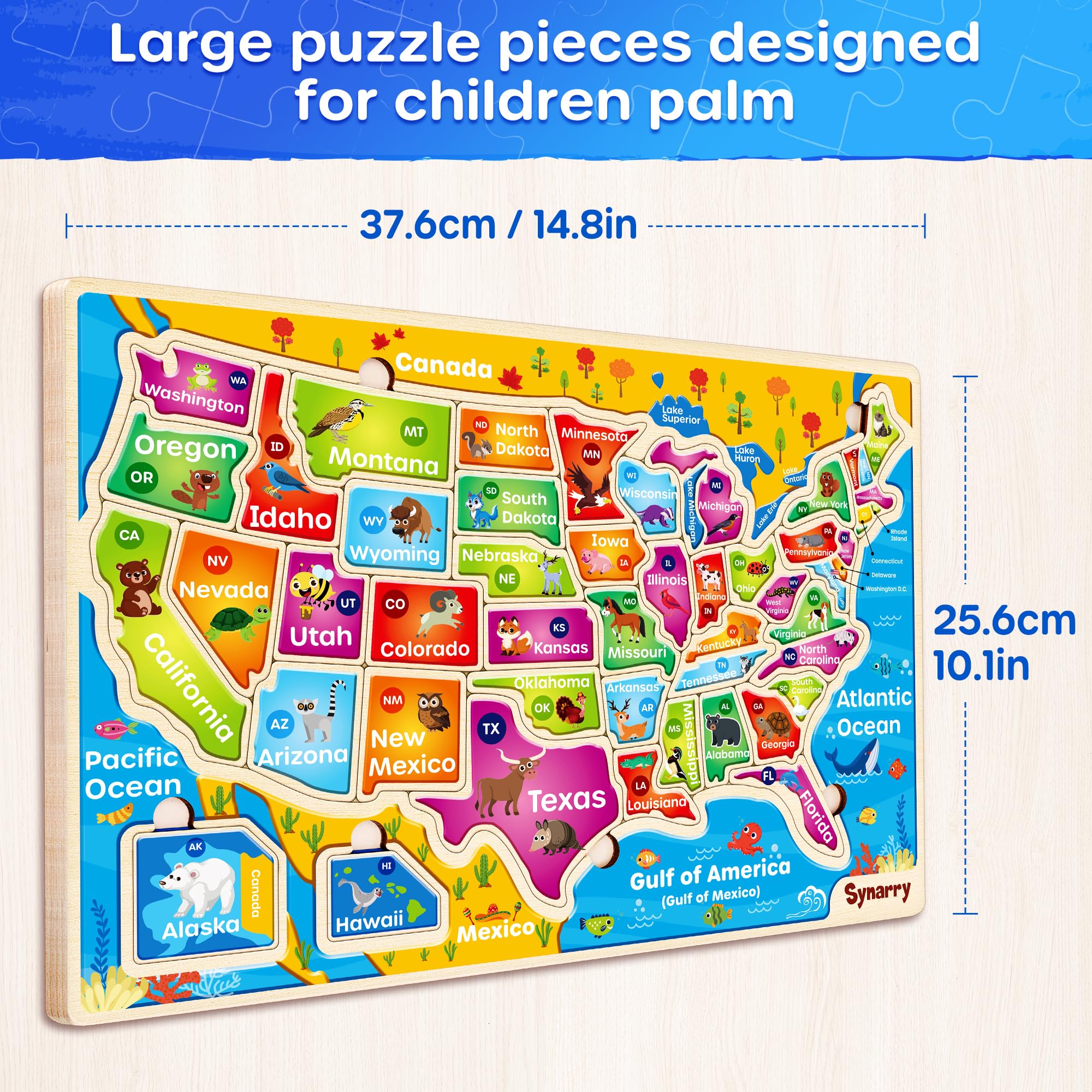 SYNARRY educational US geography play builds spatial awareness through hands-on tasks.