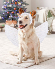 SzJias Kids Cosplay Angel Wings: perfect for events and Halloween.
