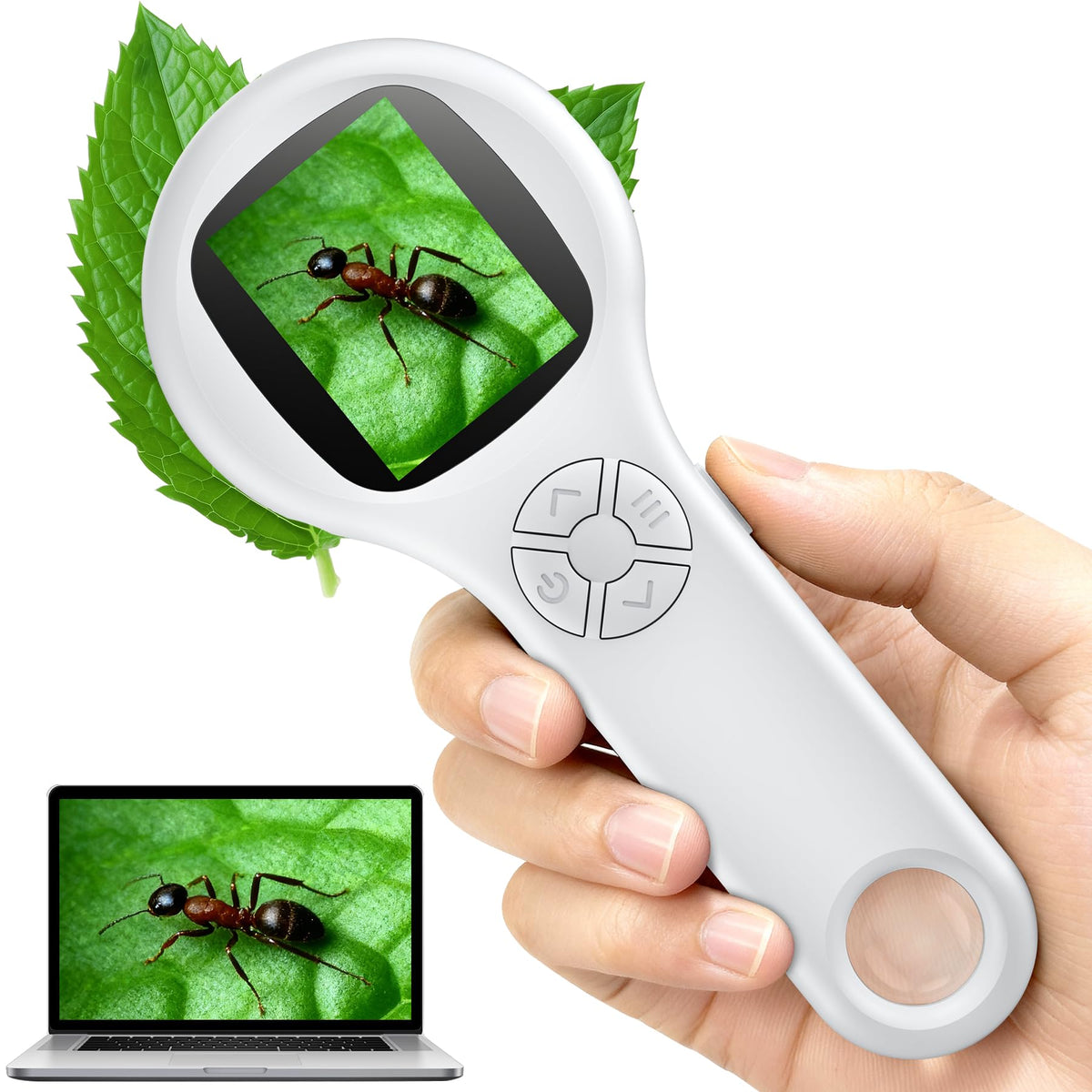 T TAKMLY Mini Pocket Microscope front view, portable for quick field checks