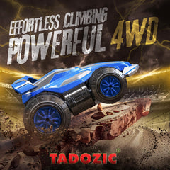 TADOZIC stunt car on outdoor terrain shows versatile performance on grass and sand