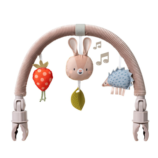 Taf Toys Arch butterflies engage newborn visual senses during tummy time.