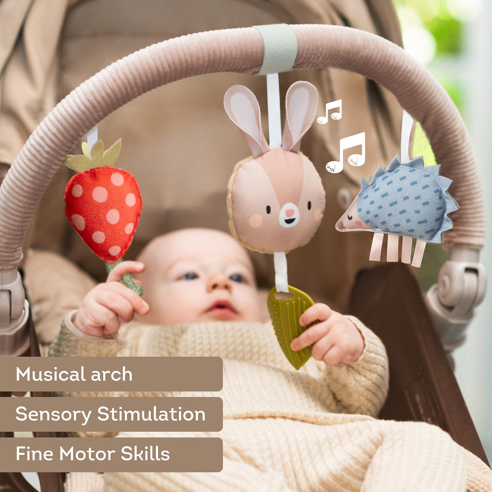 Taf Toys Arch double-sided spinning mirror reveals animated images.