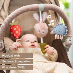 Taf Toys Arch double-sided spinning mirror reveals animated images.