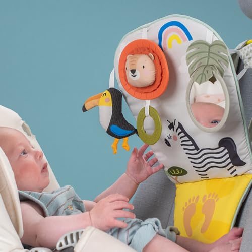 Taf Toys baby-safe mirror in car toy promotes visual exploration during journeys