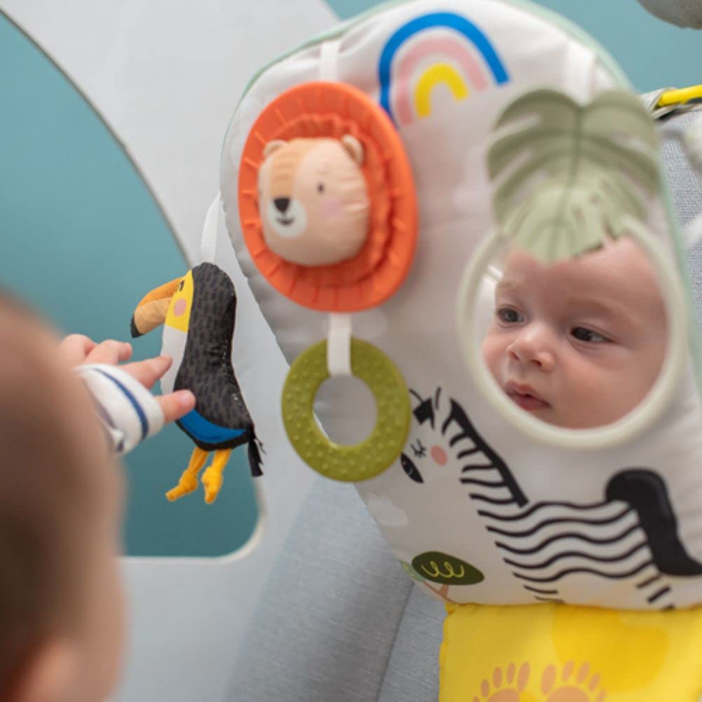 Taf Toys Harry the Lion rattle for engaging sounds and reach