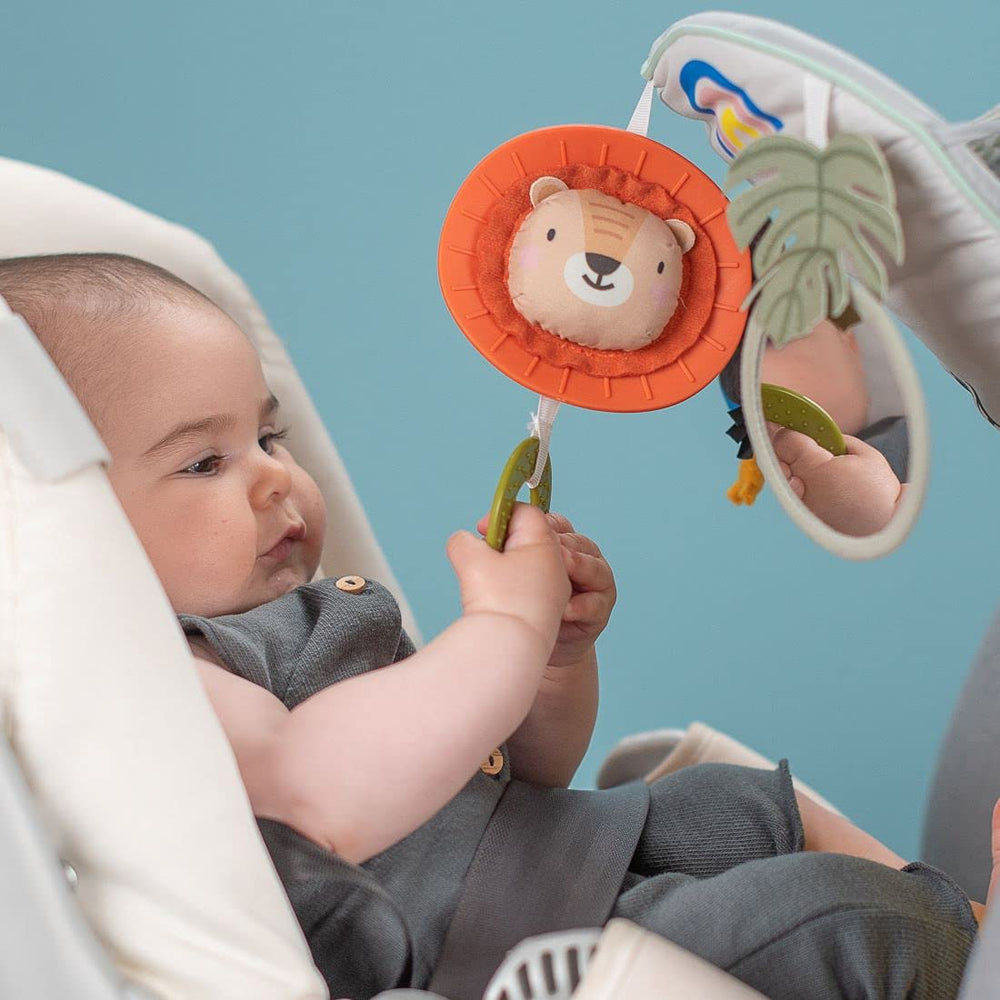 Taf Toys rear-facing travel toy designed for safe infant play